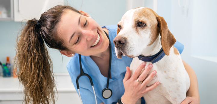 Preparation and Administration Solutions for Safety in the Veterinary Workplace