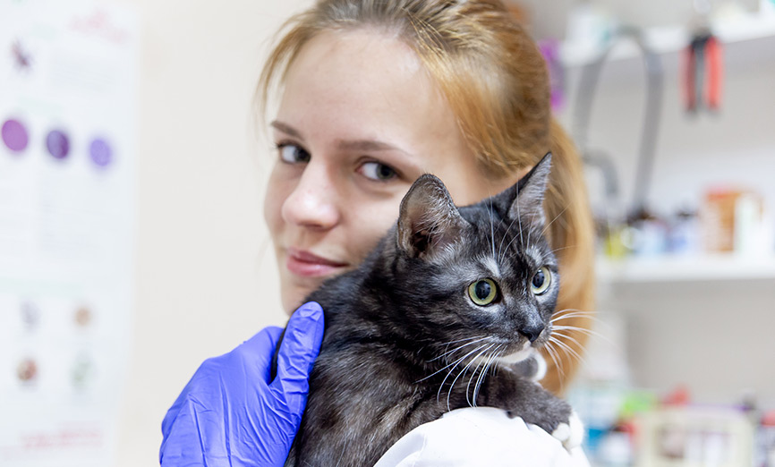 Hazardous Drugs in the Veterinary Setting | Simplivia